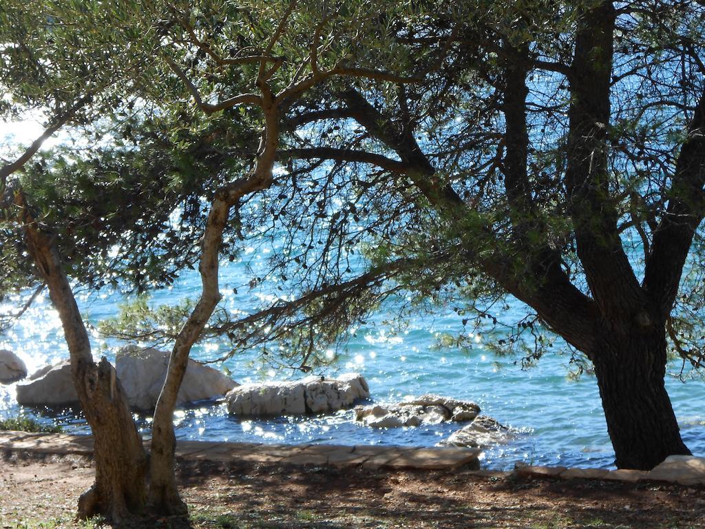 Apartment Falcon Stari Grad (Hvar) Room photo